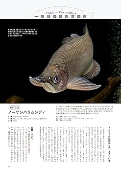 【貴重！】月刊アクアライフ スネークヘッド特集 4冊セット 月刊アクアライフ 2023年 07 月号 スネークヘッドに歴史あり